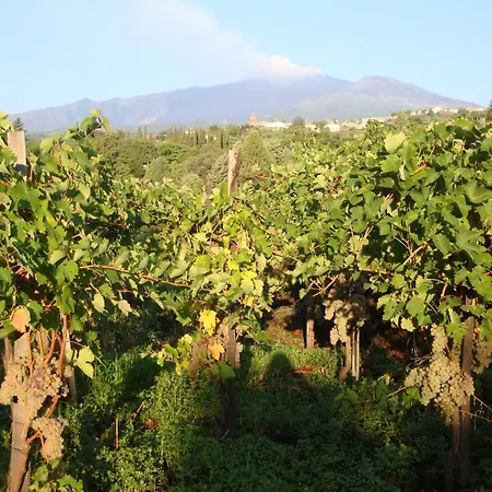 Iolanda-sive Natura Wine&house Holiday home Giarre