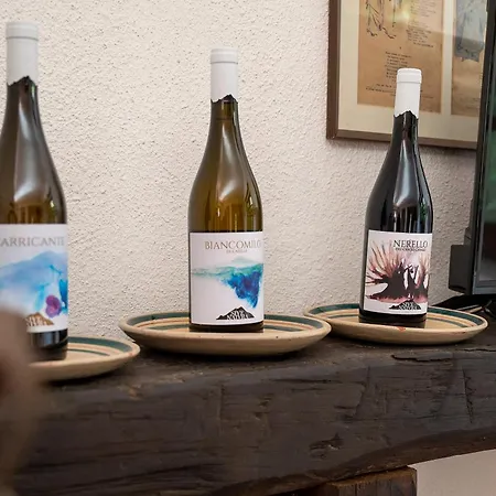 Iolanda-sive Natura Wine&house Holiday home Giarre