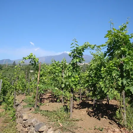 Holiday home Iolanda-sive Natura Wine&house Giarre