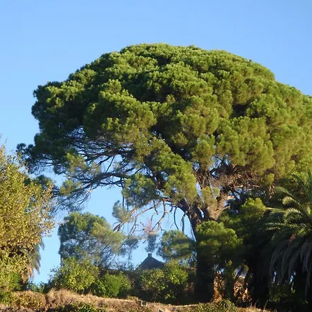 Iolanda-sive Natura Wine&house Giarre