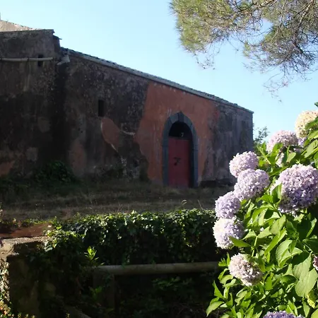 Iolanda-sive Natura Wine&house Holiday home *