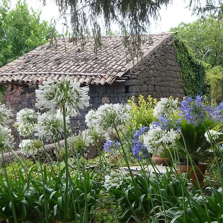 Iolanda-sive Natura Wine&house Giarre