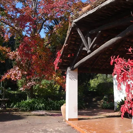 Iolanda-sive Natura Wine&house Holiday home