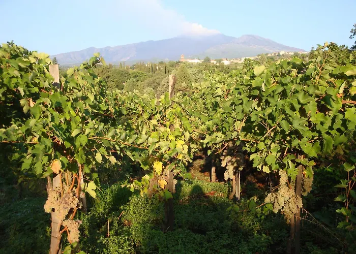 Iolanda-sive Natura Wine&house بيت للعطل جاري